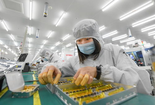 信息技術(shù)賦能，武漢都市圈加壓奮進(jìn)打造全國高質(zhì)量發(fā)展新增長(zhǎng)極